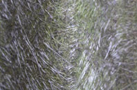 Casterton fibreglass roof work